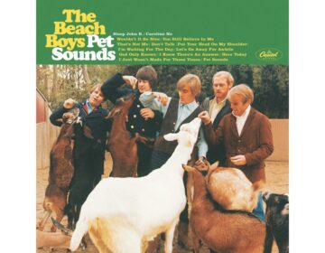 Vinyl Record Turntable Music LP The Beach Boys Pet Sounds - Album
