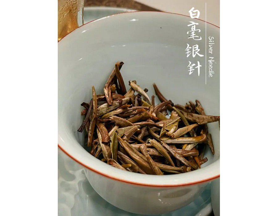 Tea Beverage (14x70g) Silver Needle White - Image 4